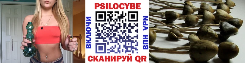 Псилоцибиновые грибы MAGIC MUSHROOMS  Пятигорск 